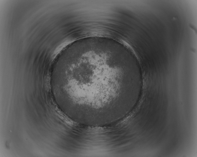 X0000101121019200807031758