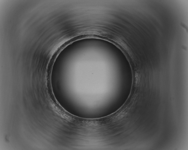 X0000101121020200807031758