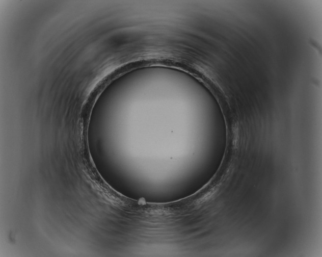 X0000101121021200807031758