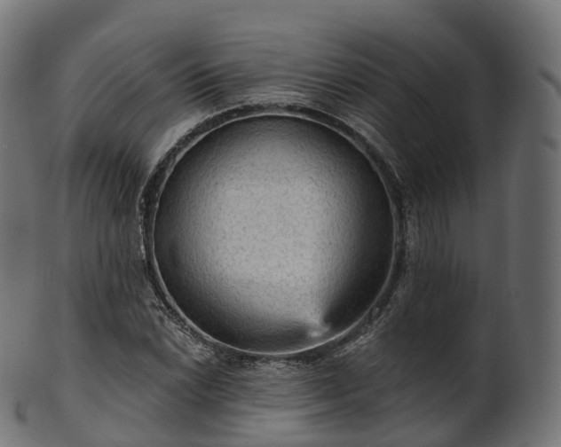 X0000101121022200807031758