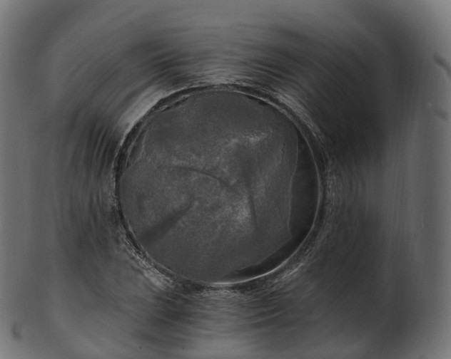 X0000101121023200807031758