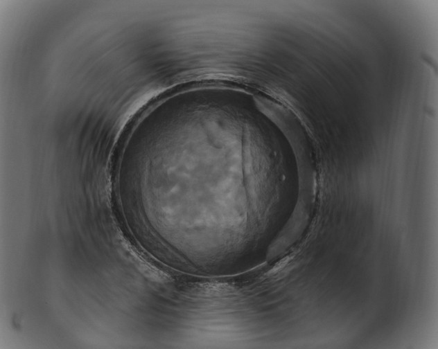 X0000101121024200807031758