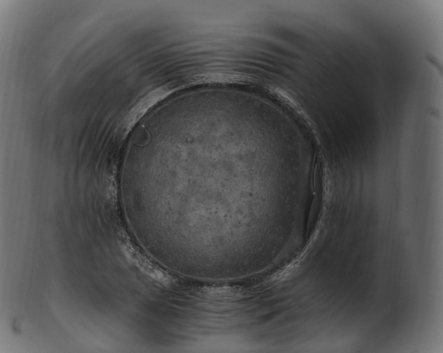 X0000101121025200807031759