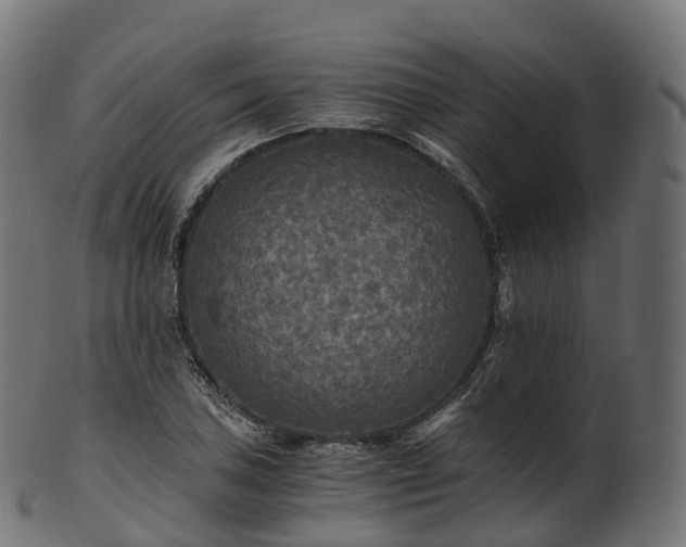 X0000101121027200807031759