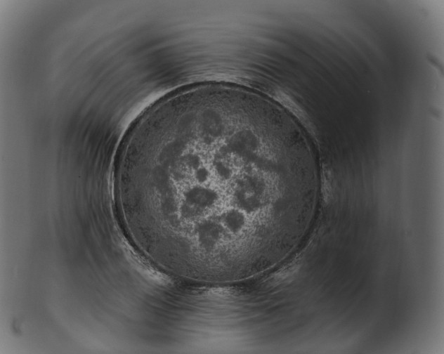 X0000101121028200807031759