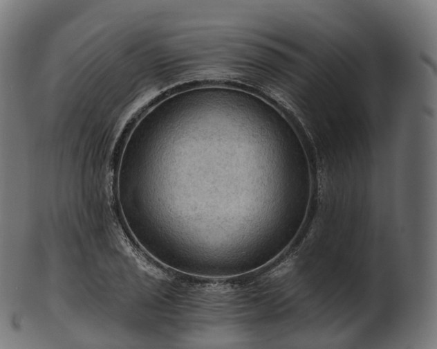 X0000101121029200807031759