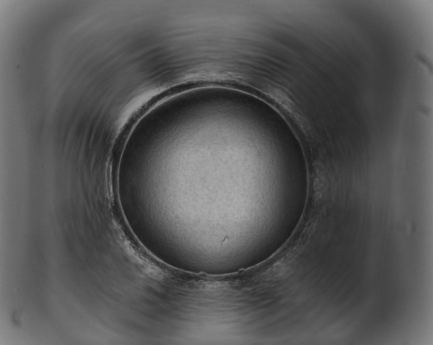 X0000101121030200807031759