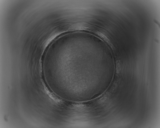 X0000101121031200807031759