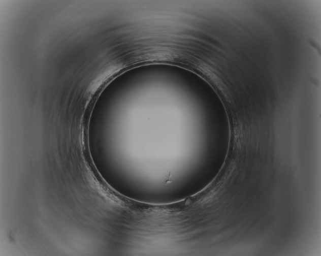 X0000101121034200807031759