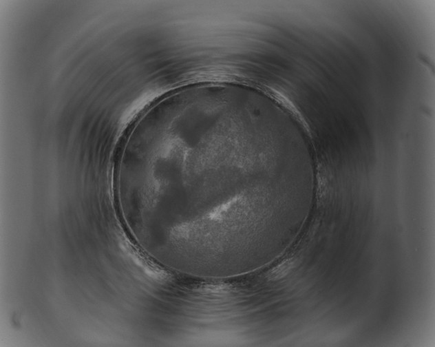 X0000101121035200807031759