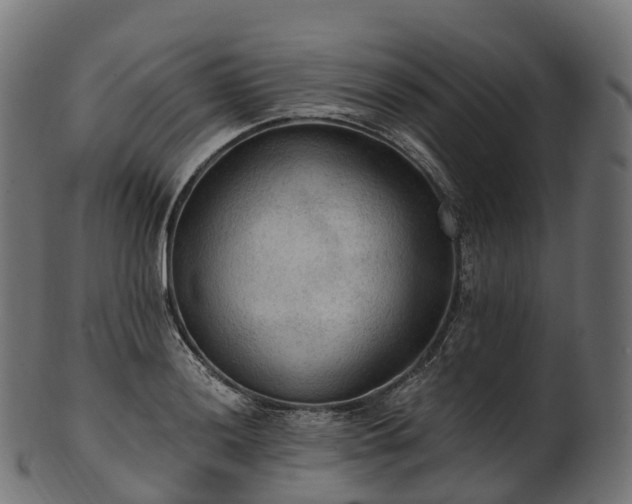 X0000101121036200807031759