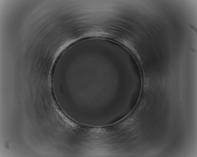 X0000101121037200807031759