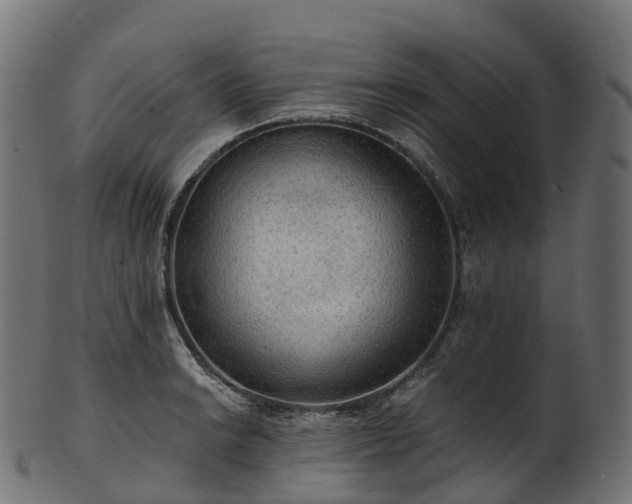 X0000101121038200807031759