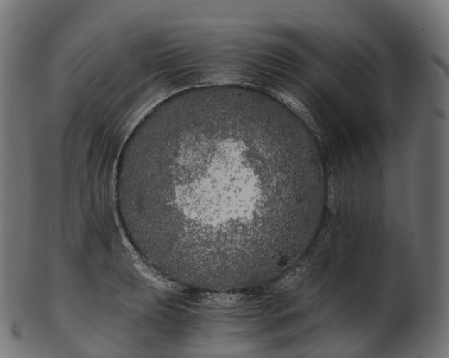 X0000101121039200807031759