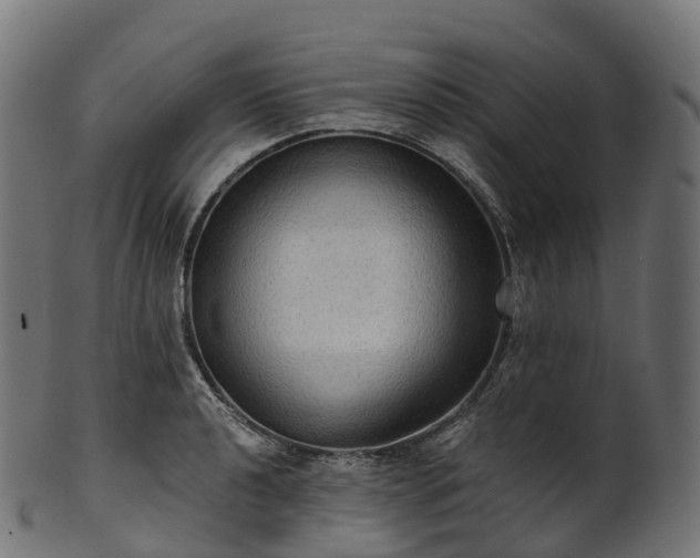 X0000101121040200807031759
