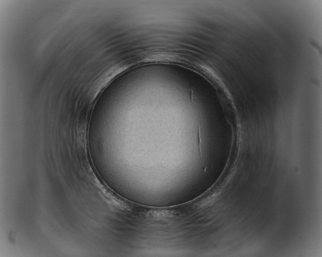 X0000101121041200807031759