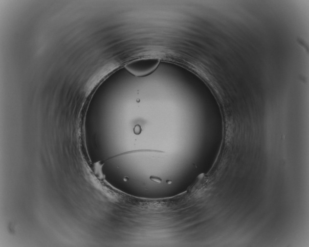 X0000101121042200807031759