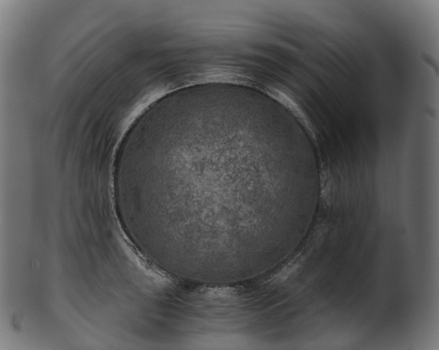 X0000101121043200807031759