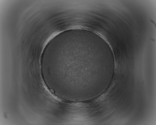 X0000101121045200807031759