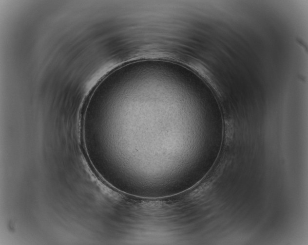 X0000101121046200807031759