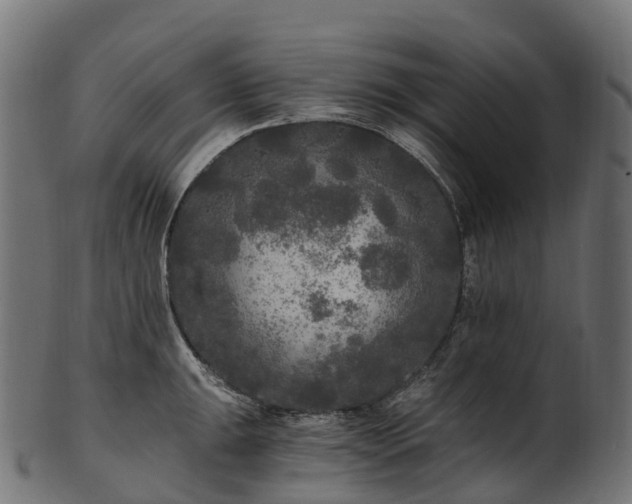 X0000101121047200807031759