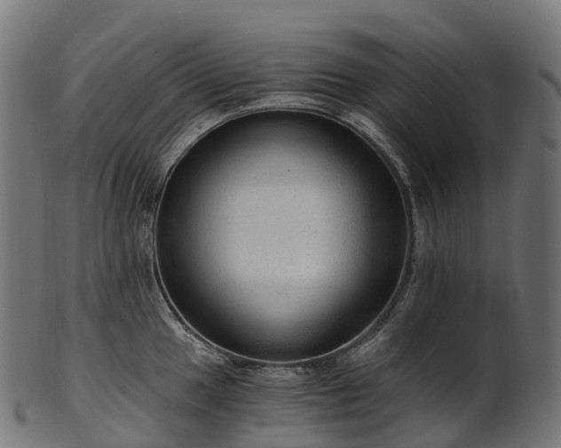 X0000101121049200807031759