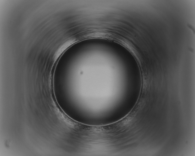X0000101121050200807031759