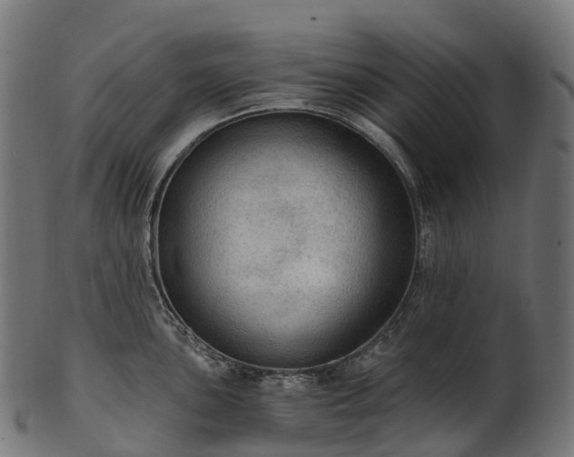 X0000101121051200807031759