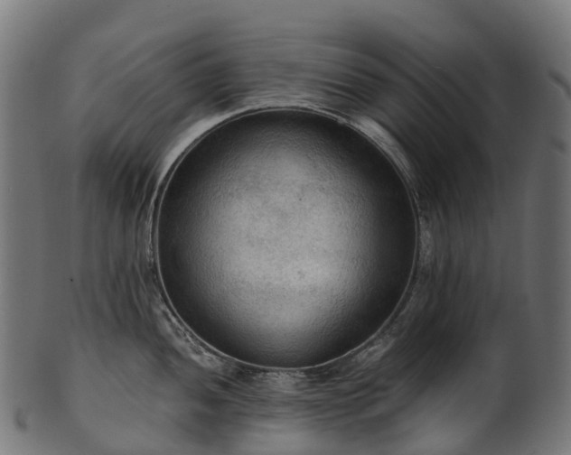 X0000101121052200807031759