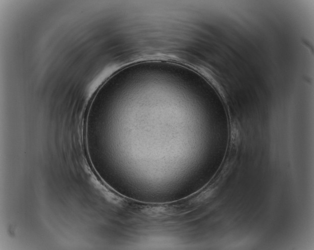 X0000101121054200807031759