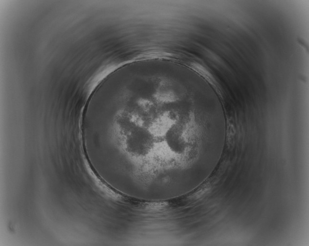 X0000101121055200807031759