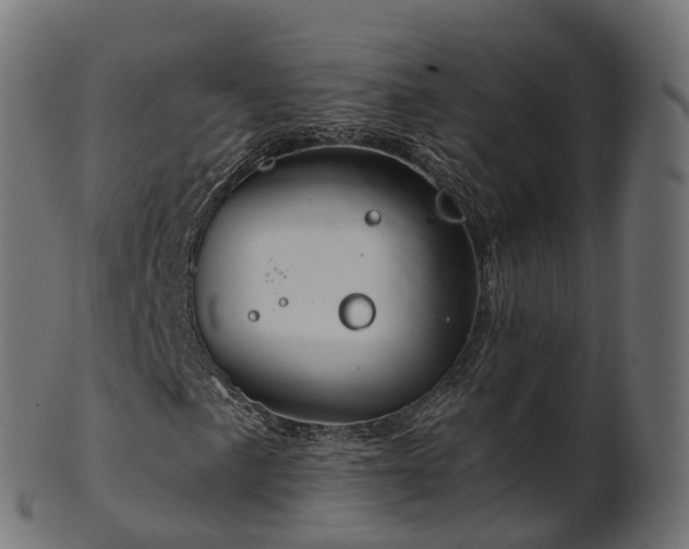 X0000101121057200807031758