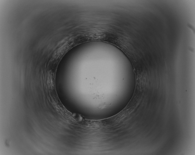 X0000101121058200807031758