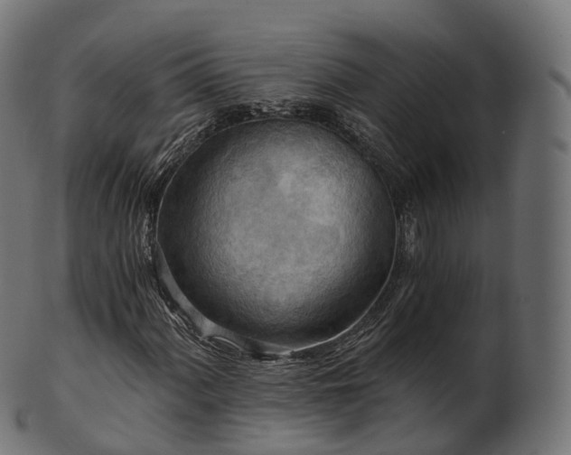 X0000101121060200807031758