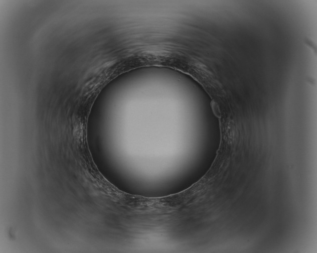 X0000101121061200807031758