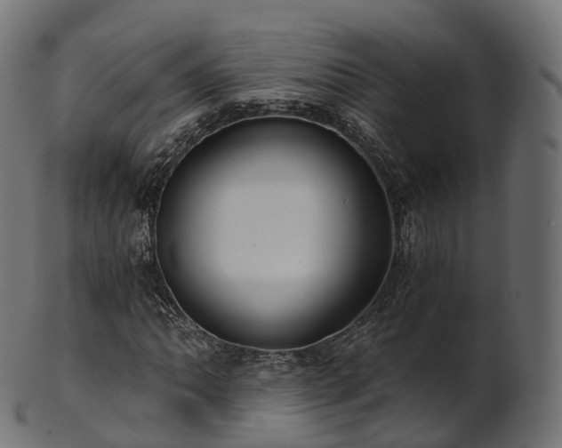 X0000101121062200807031758