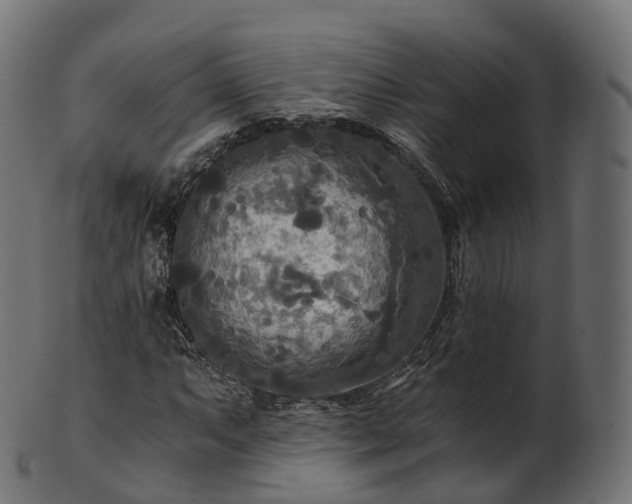 X0000101121063200807031758