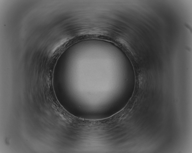 X0000101121064200807031758