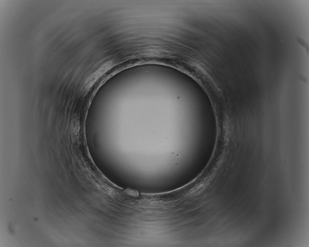 X0000101121065200807031758