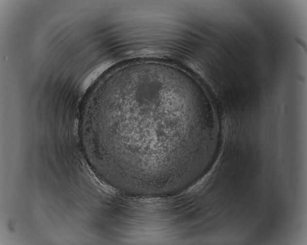 X0000101121066200807031758