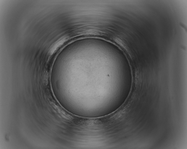 X0000101121067200807031758