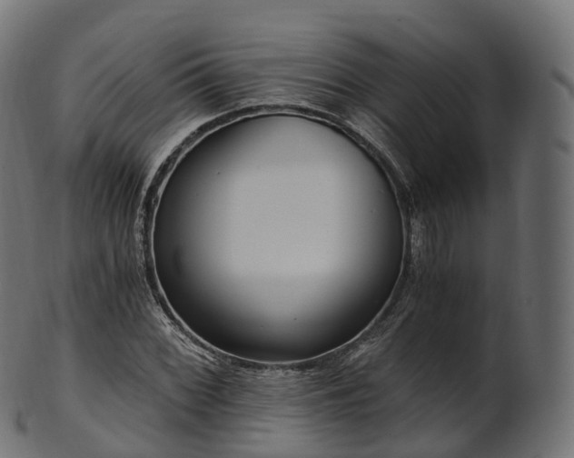 X0000101121068200807031758