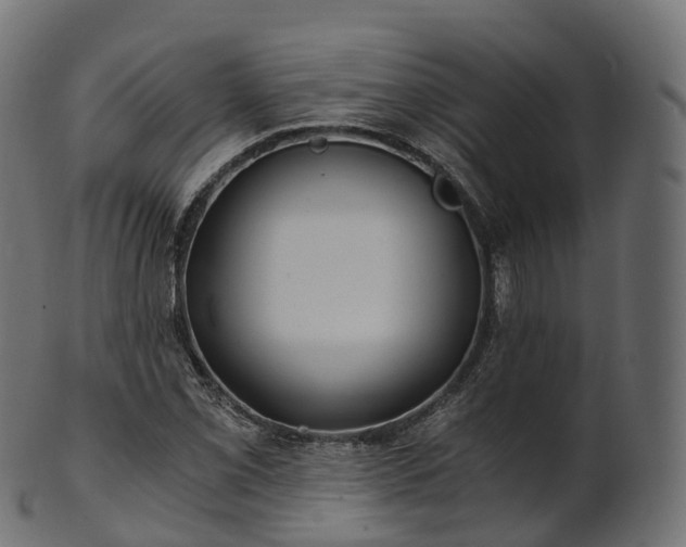 X0000101121069200807031758