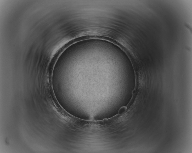 X0000101121070200807031758
