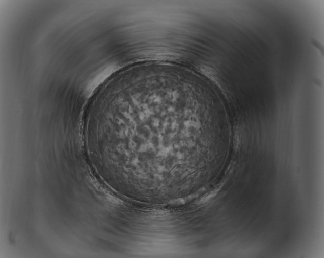 X0000101121071200807031758