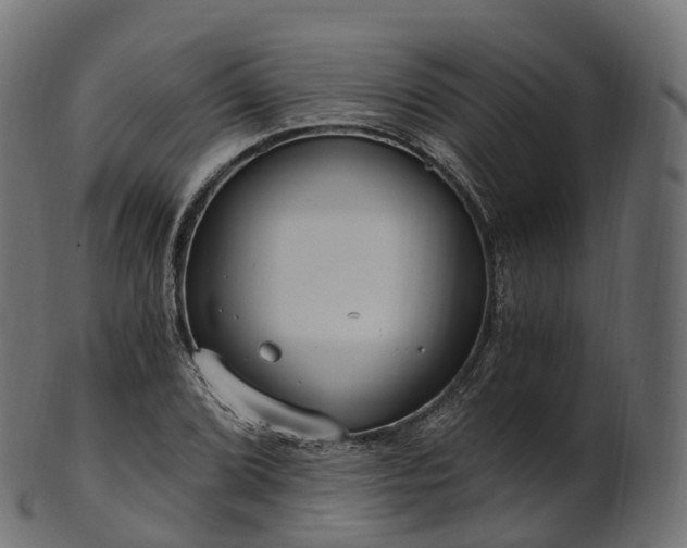 X0000101121072200807031758