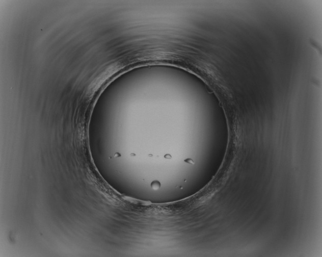 X0000101121073200807031758