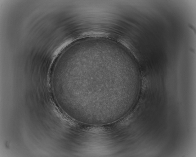 X0000101121074200807031758