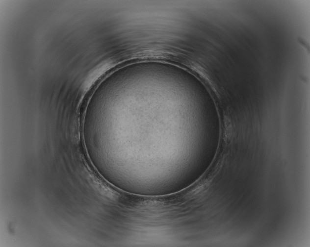 X0000101121075200807031758