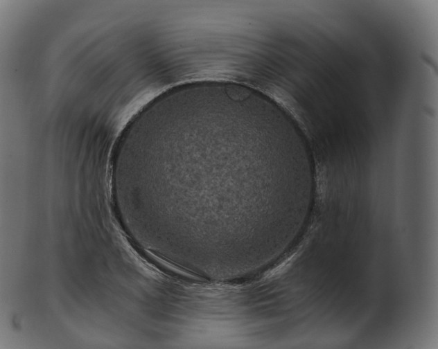 X0000101121077200807031758